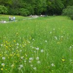 bild14-140517