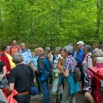 bild2-140517