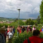 bild3-140517