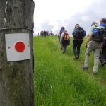 bild6-140517