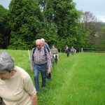 bild7-140517